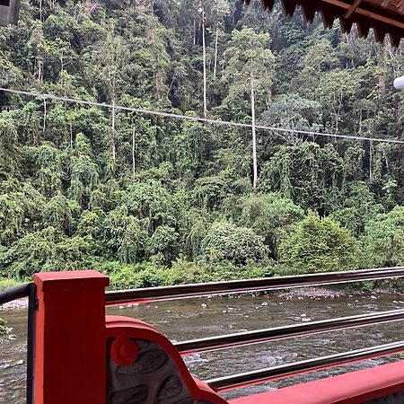 Ridho'S Homestay & Jungle Trekking Bukit Lawang Extérieur photo