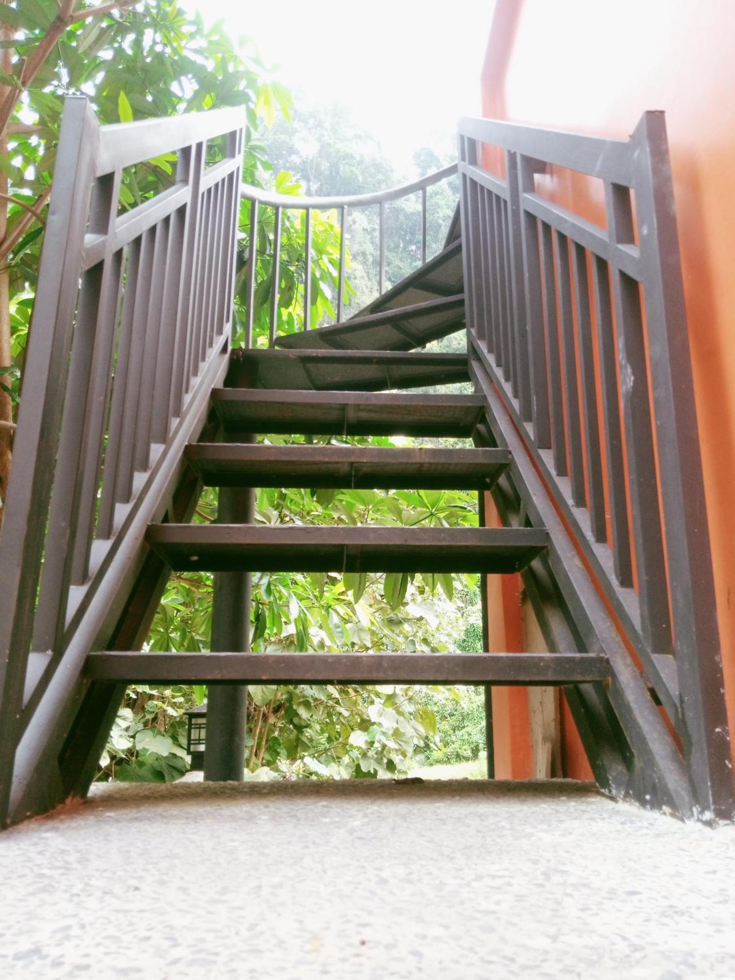 Ridho'S Homestay & Jungle Trekking Bukit Lawang Extérieur photo