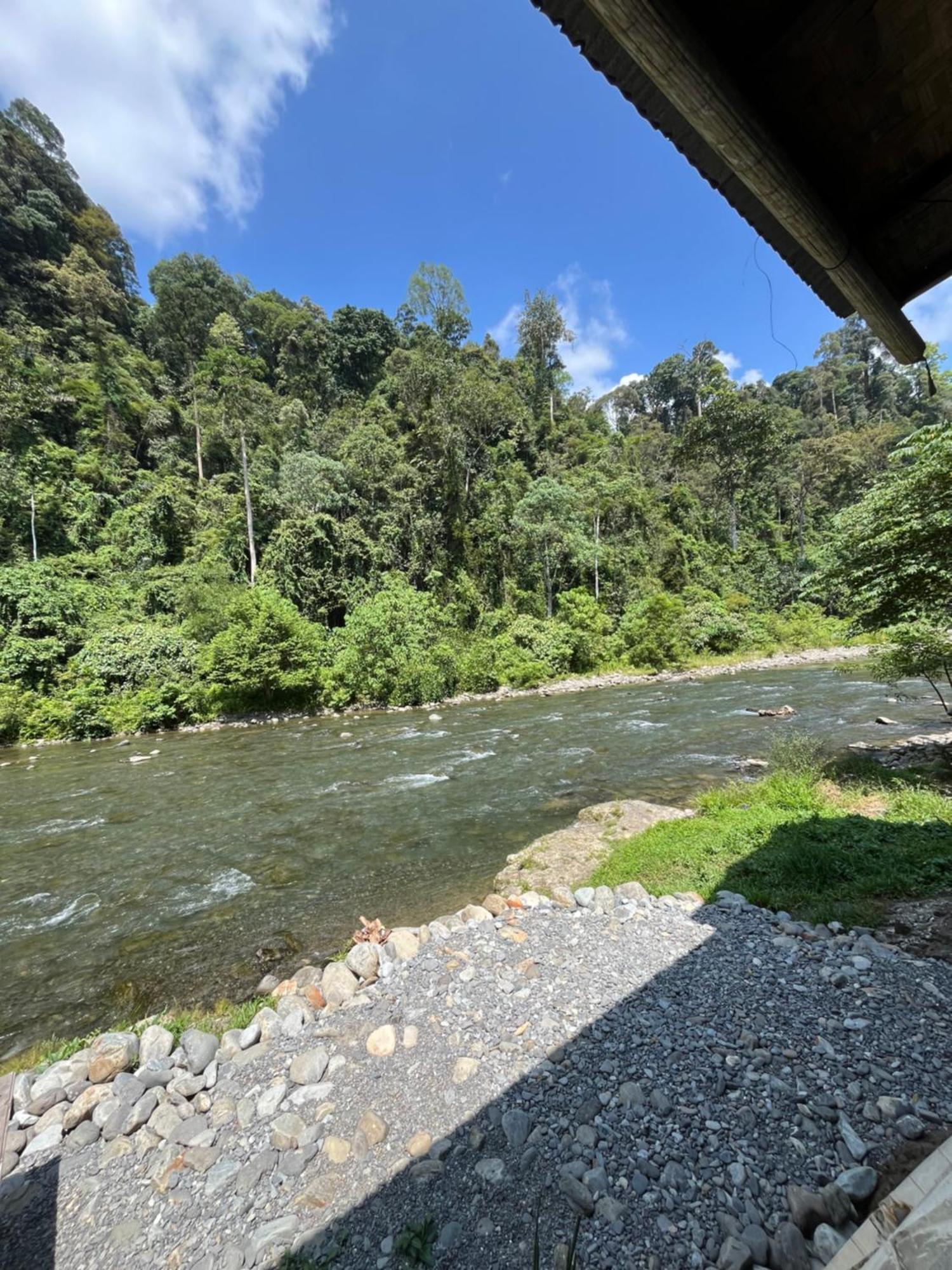 Ridho'S Homestay & Jungle Trekking Bukit Lawang Extérieur photo