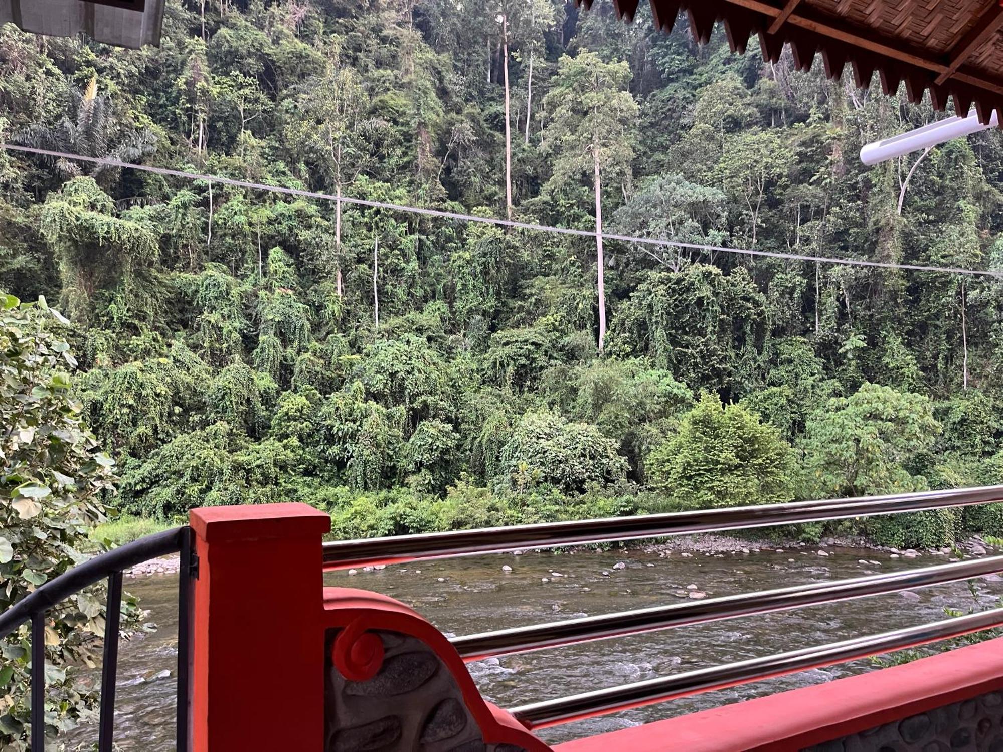 Ridho'S Homestay & Jungle Trekking Bukit Lawang Extérieur photo