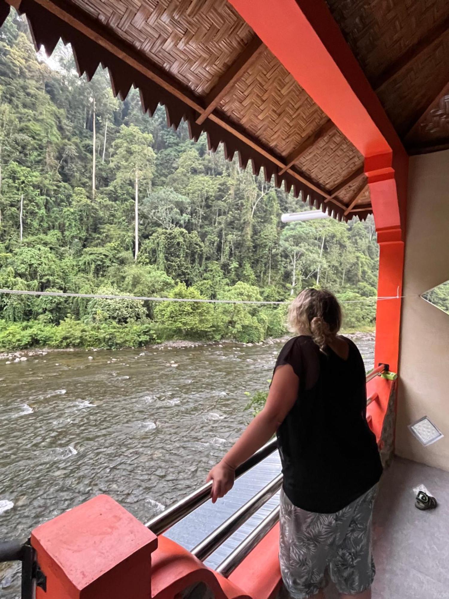 Ridho'S Homestay & Jungle Trekking Bukit Lawang Chambre photo